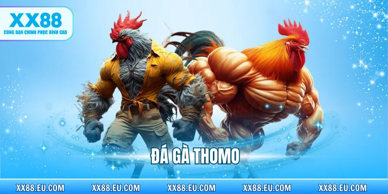 Đá Gà Thomo